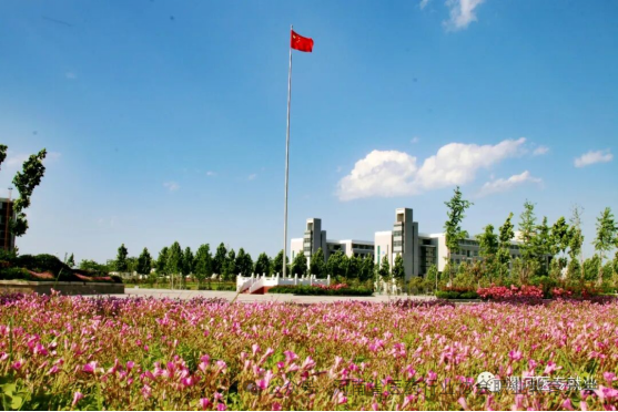 漯河医专.png